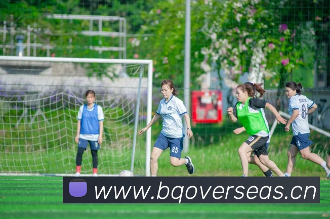 米兰体育在线登录入口APP 高清赛事图